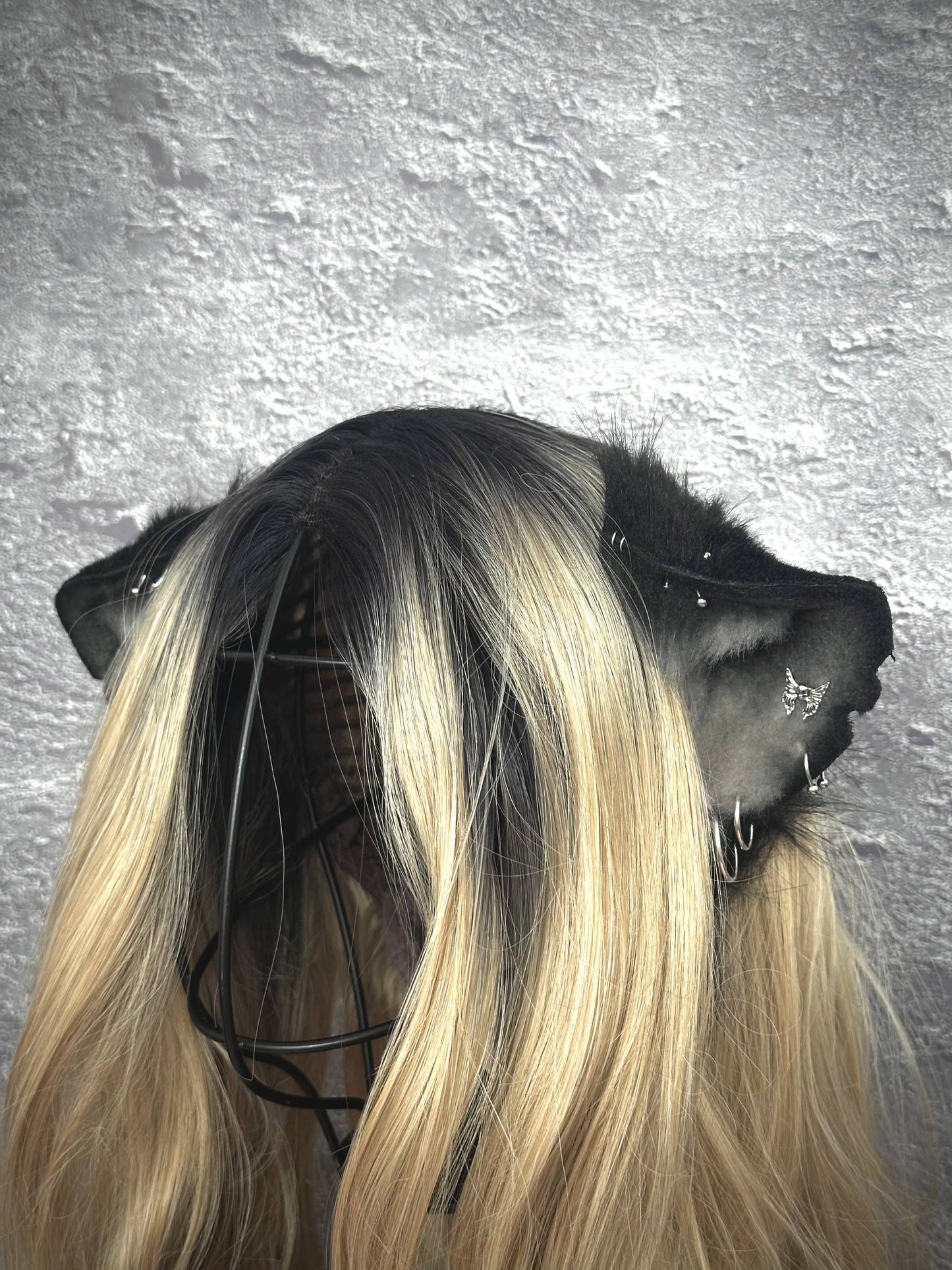 Ratty Ears RFS