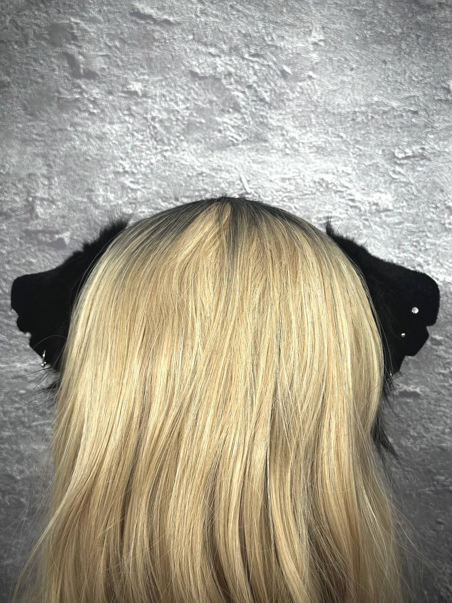 Ratty Ears RFS