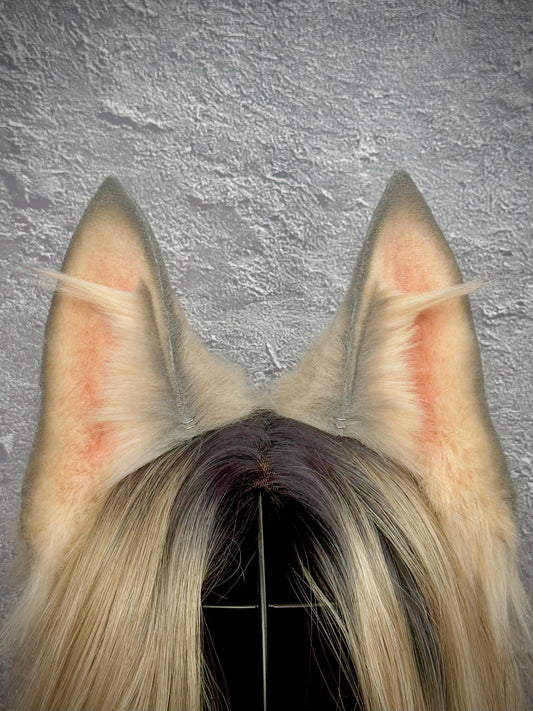 Gray Fox Ears  RFS