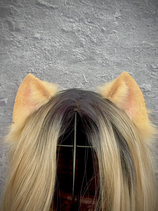 Blonde Mini Kitten Ears RFS