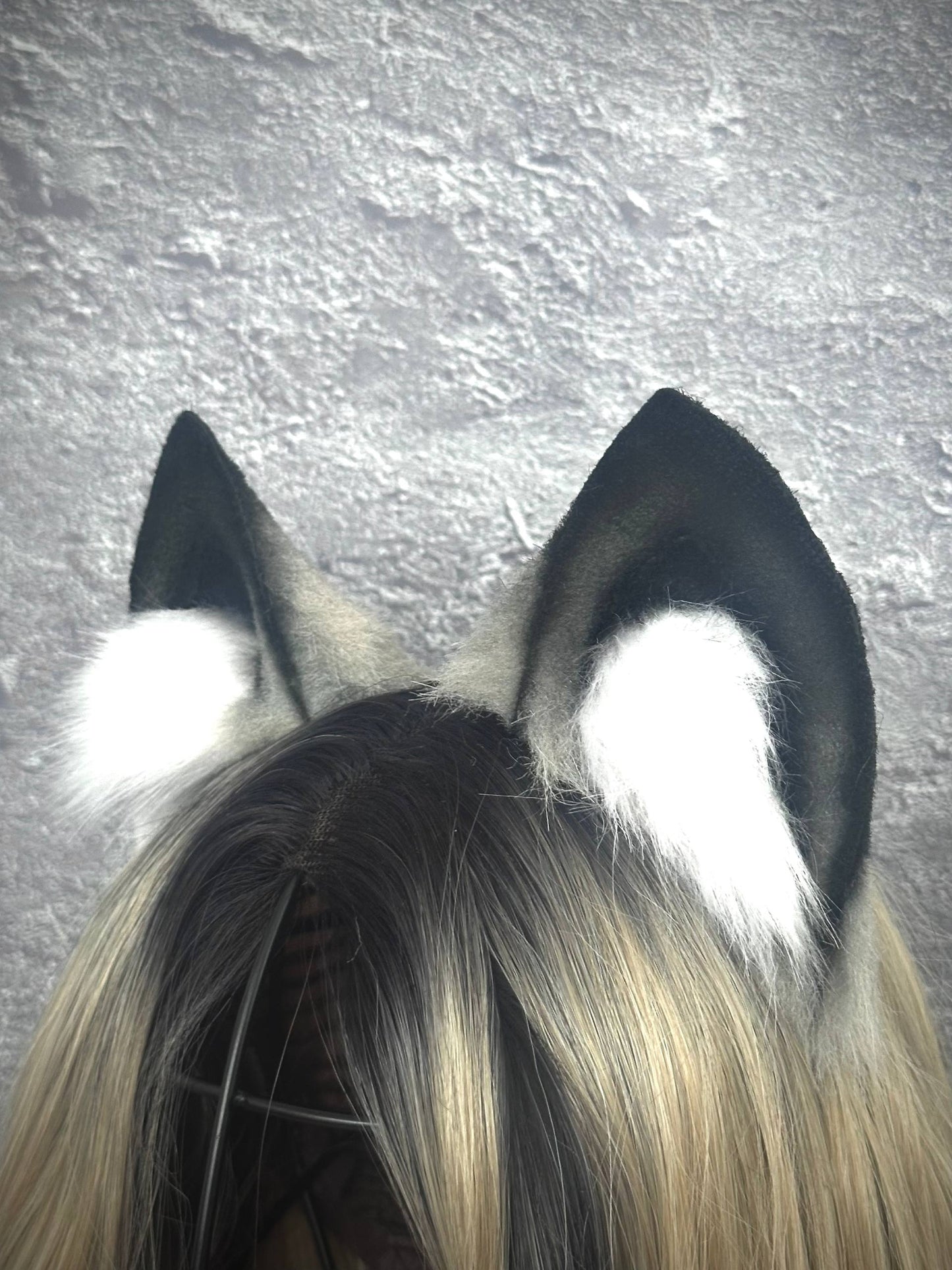 Gray Cat Ears RFS