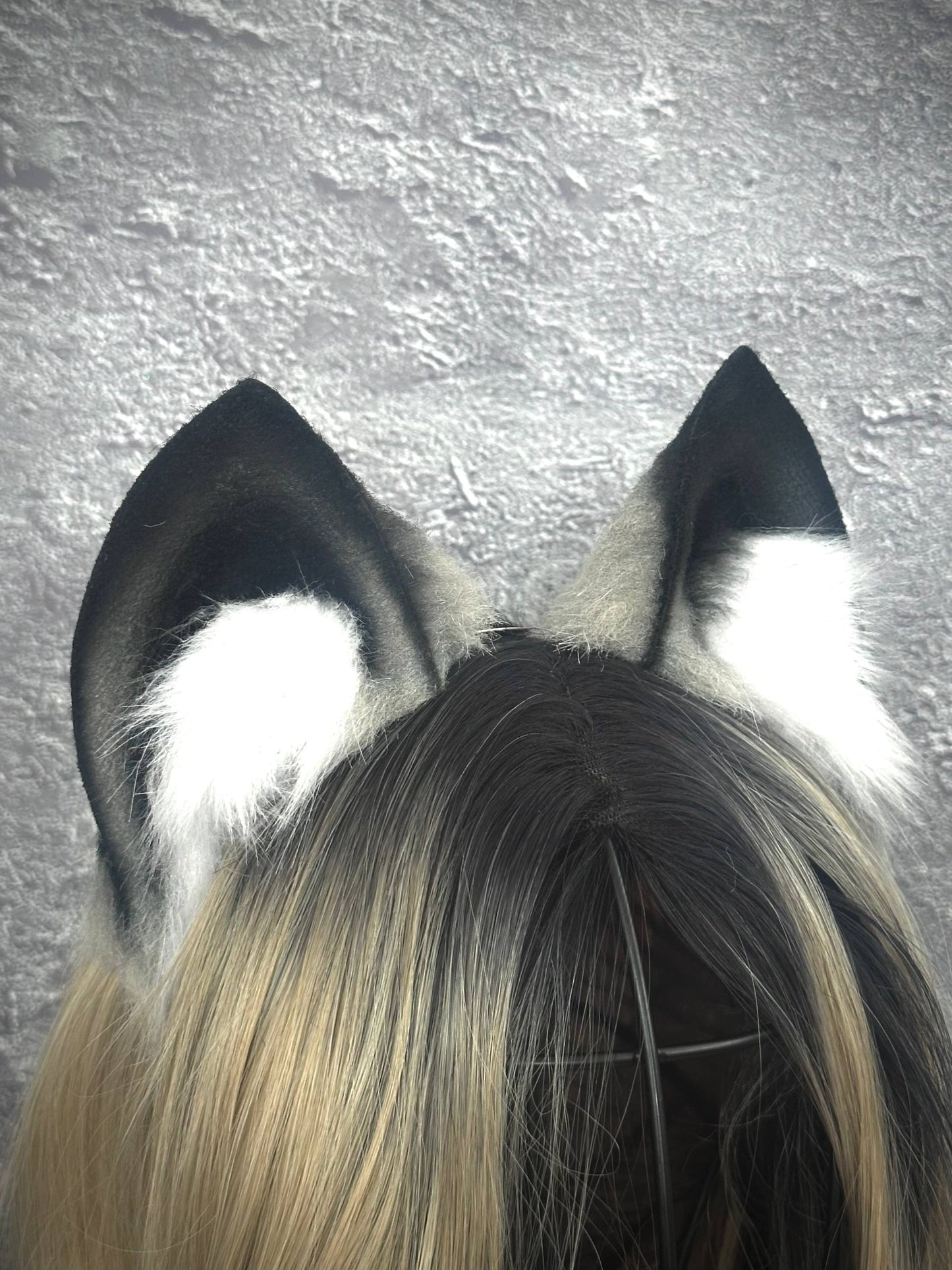 Gray Cat Ears RFS