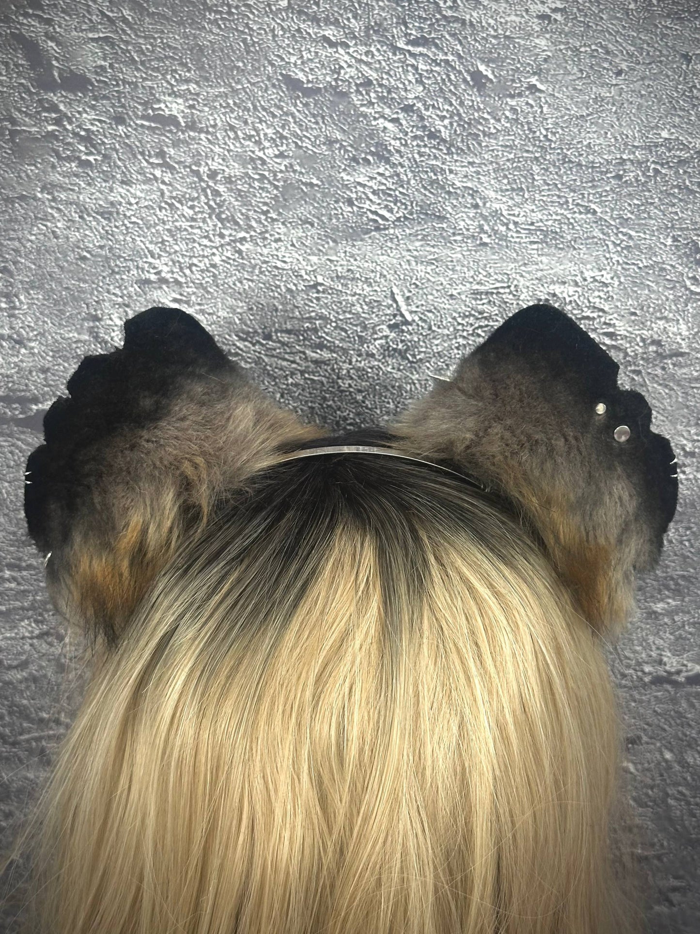 Hyena Ears RFS