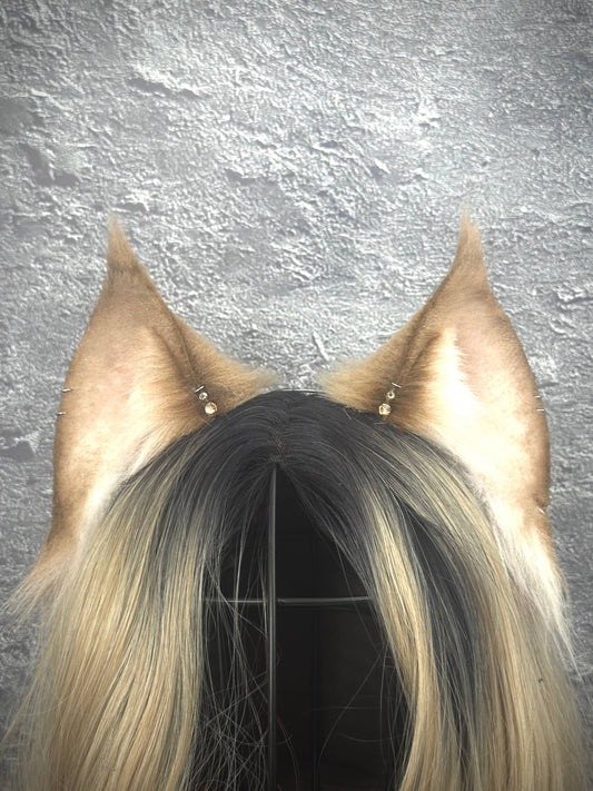 Brown Lynx Ears RFS