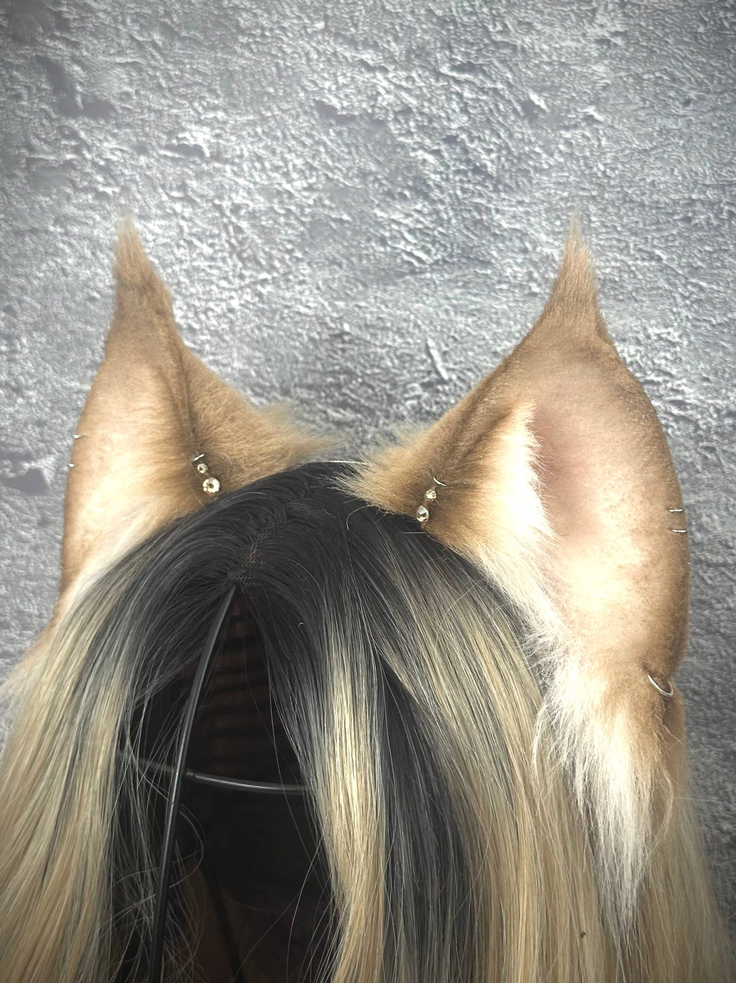 Brown Lynx Ears RFS