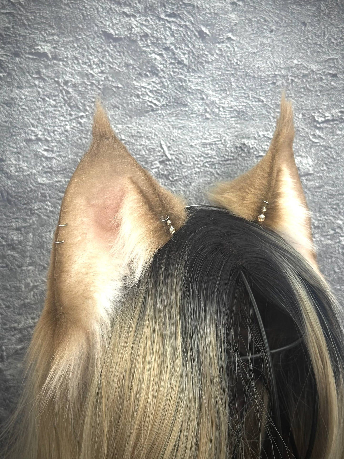 Brown Lynx Ears RFS