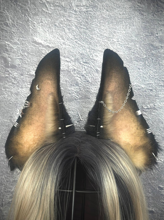 Doberman Ears RFS
