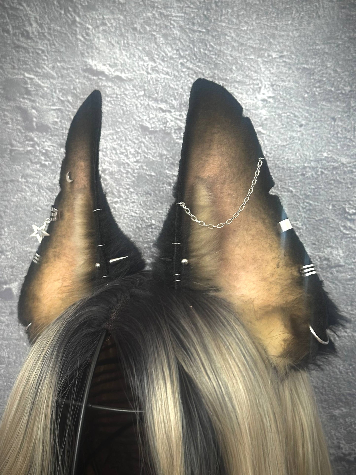 Doberman Ears RFS