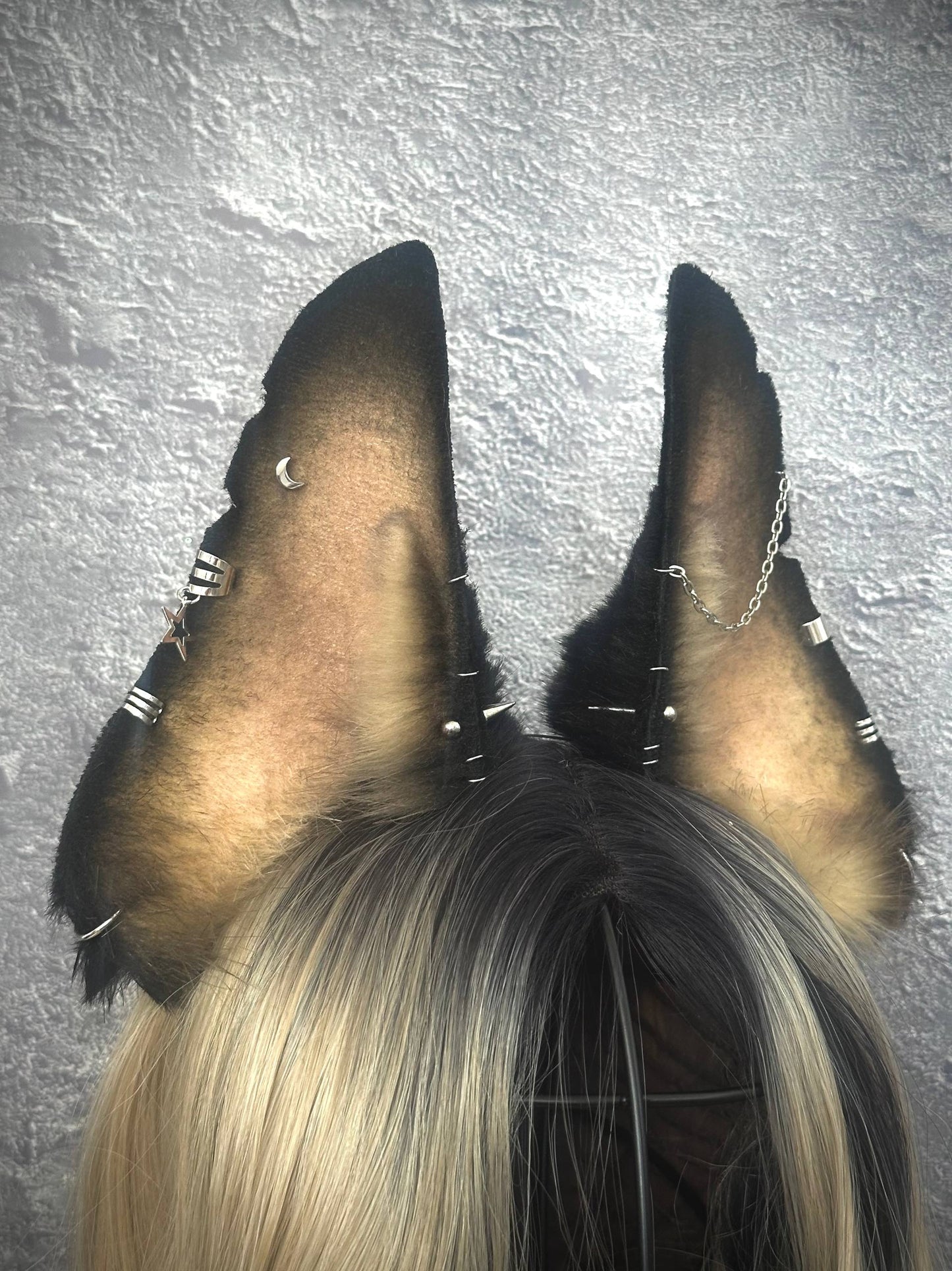 Doberman Ears RFS