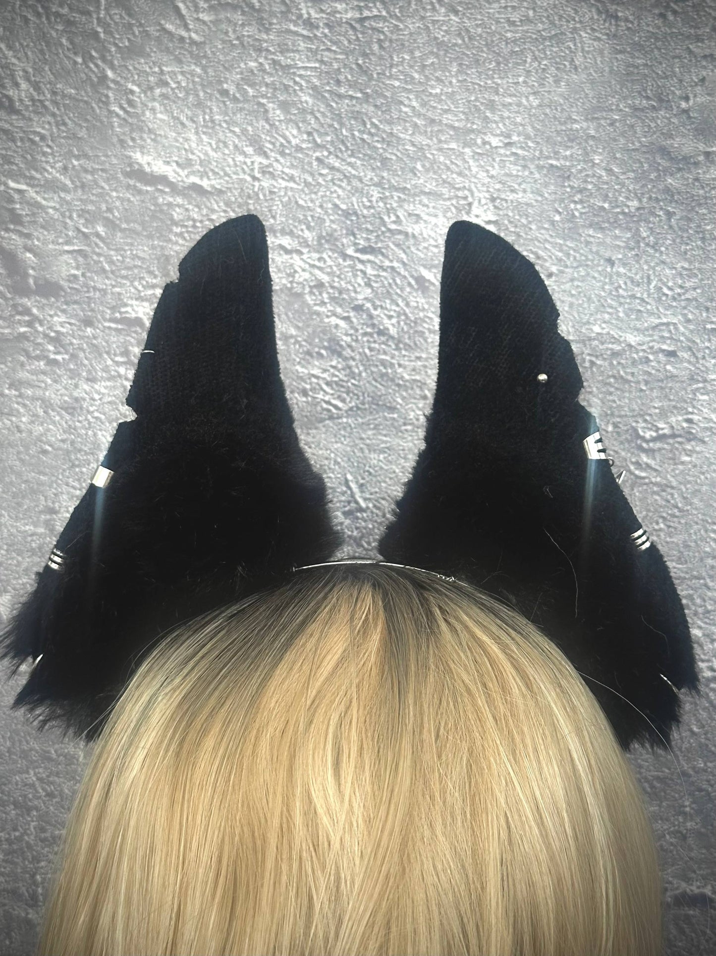 Doberman Ears RFS