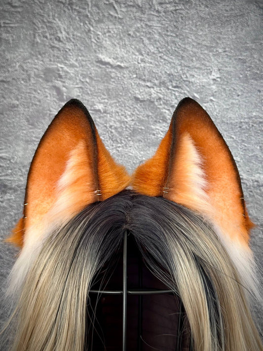 Ginger Fox Ears  RFS