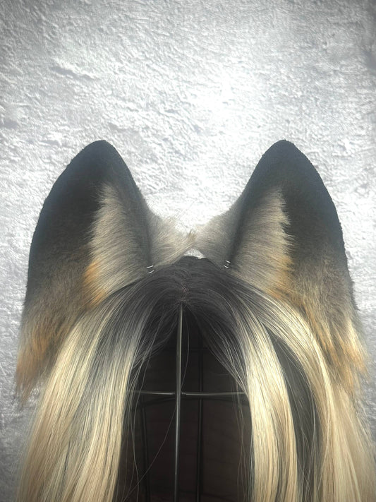 Gray Fox Ears  RFS