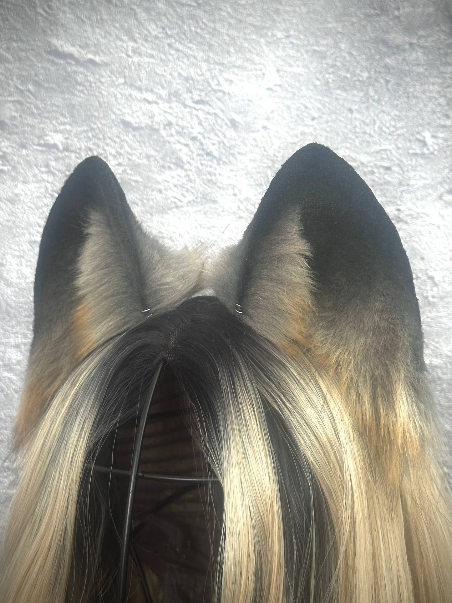 Gray Fox Ears  RFS