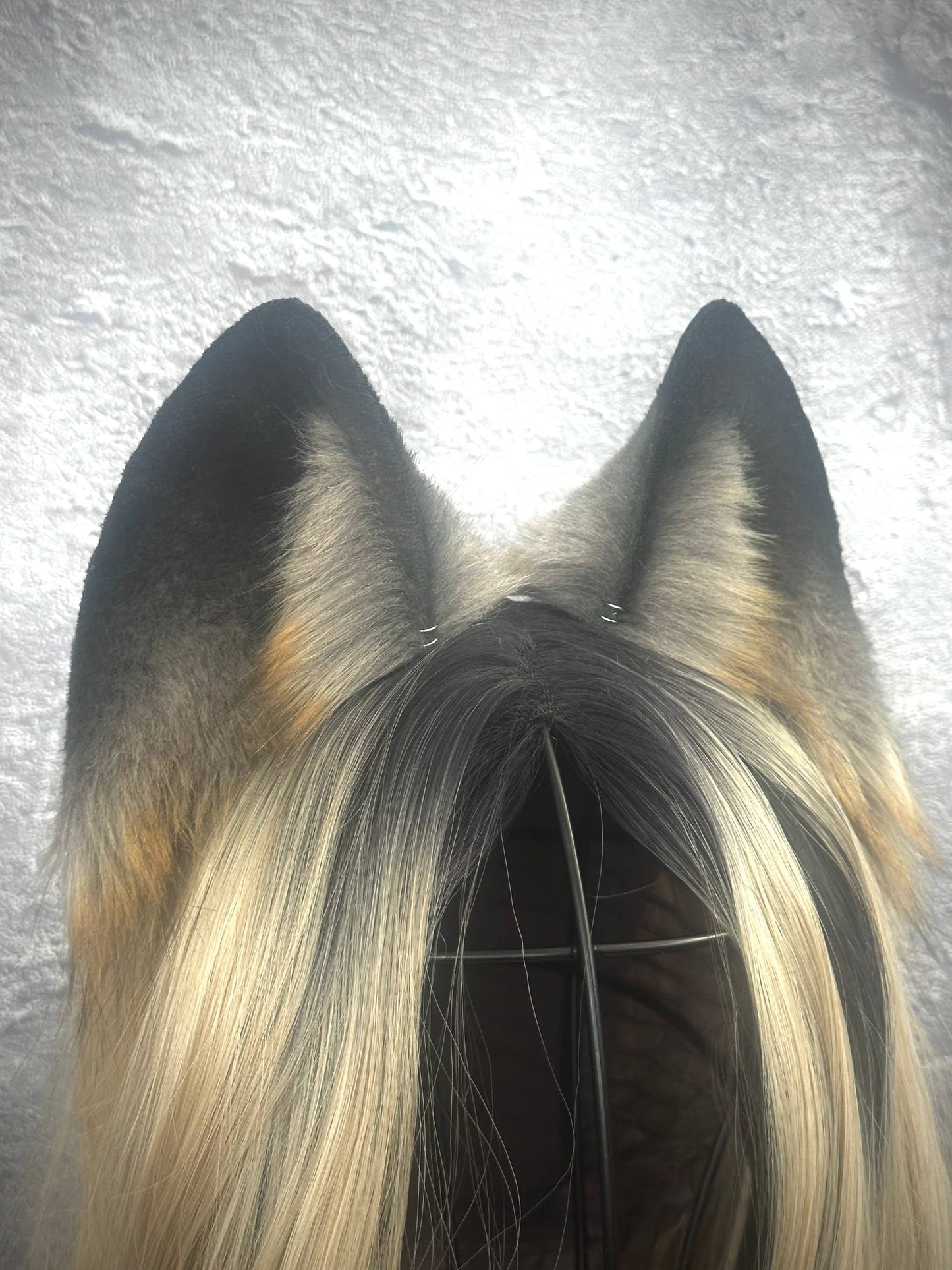 Gray Fox Ears  RFS