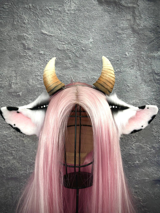 Cow Ears RFS