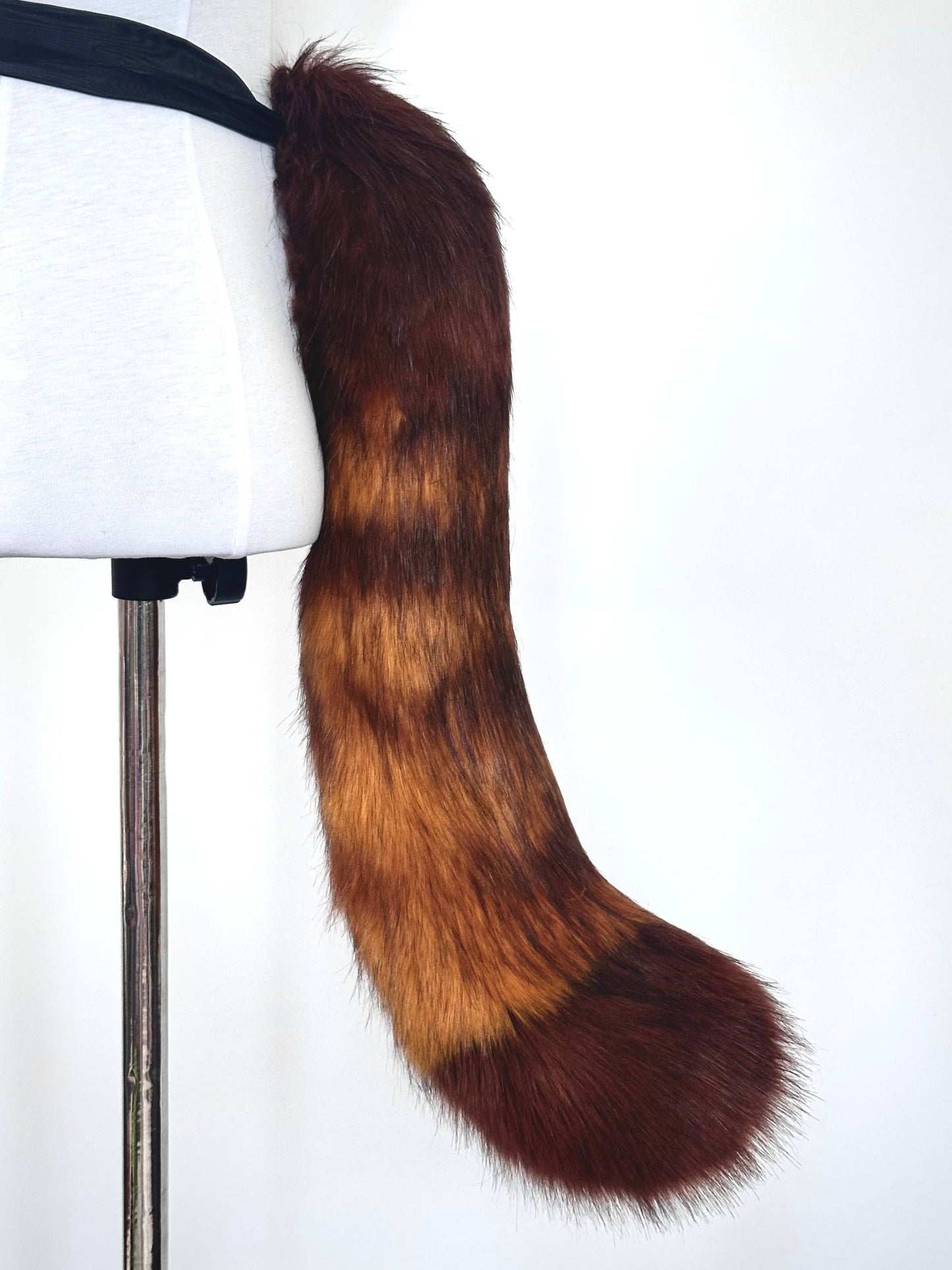 Brown Kitten Tail RFS