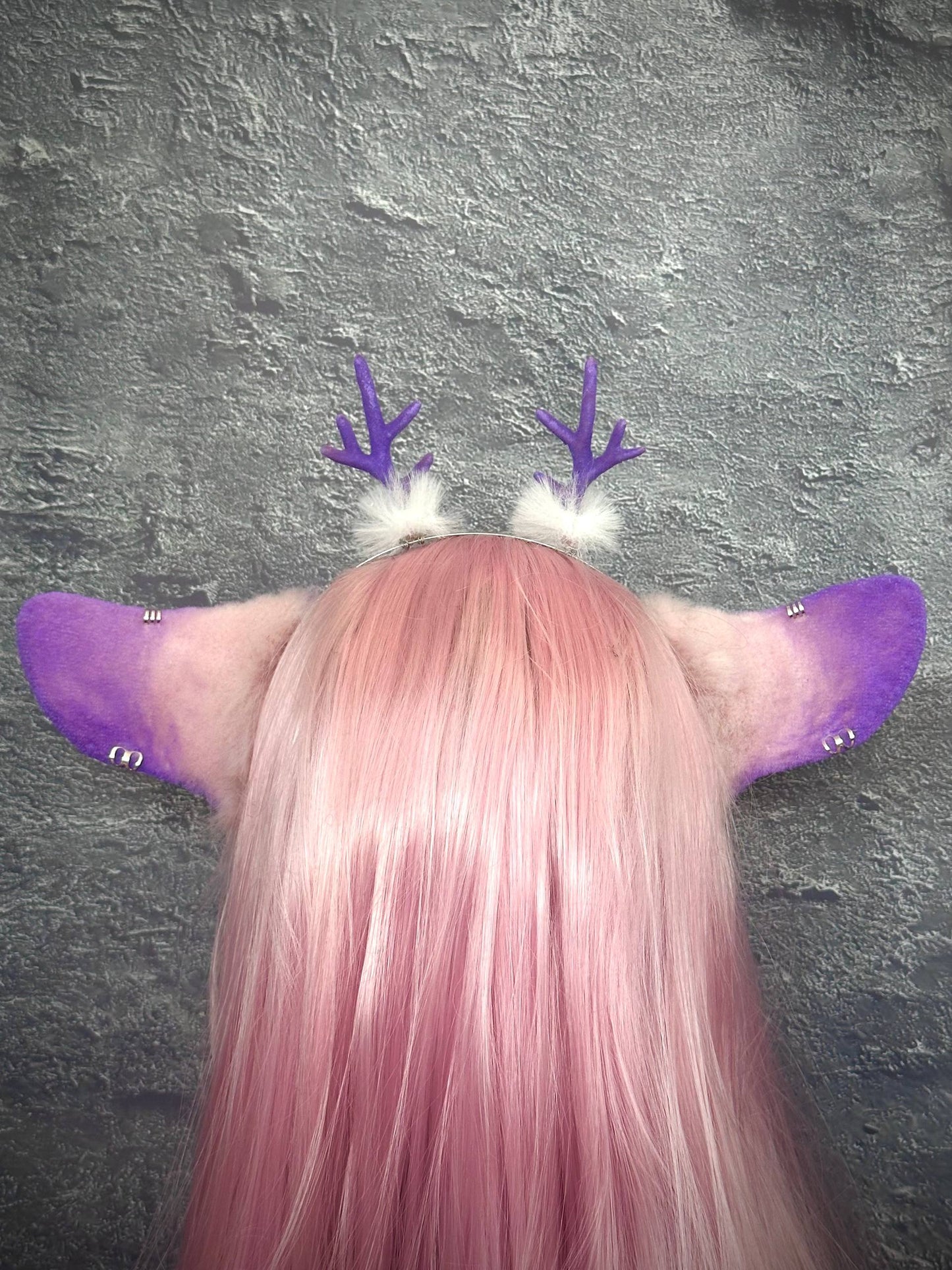 Lavender Deer Ears RFS