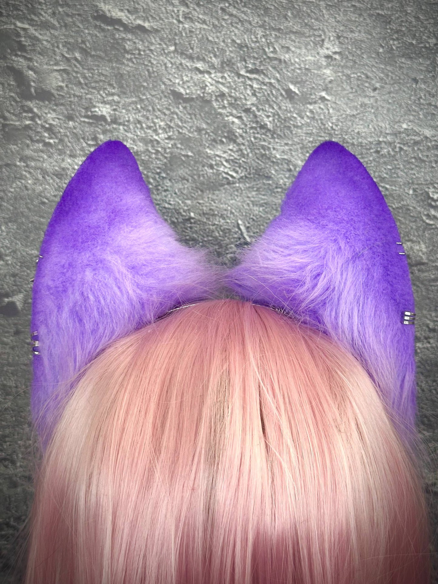 Purple Fox Ears RFS