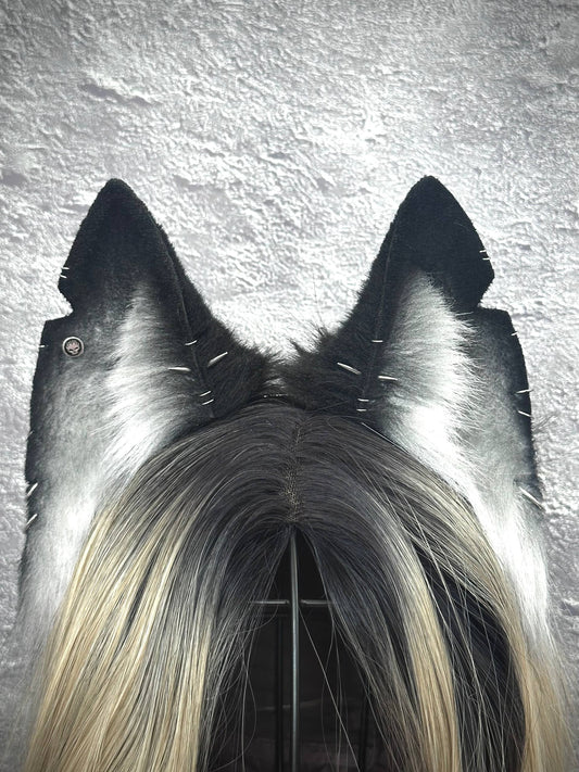 Gray Mongrel Fox Ears  RFS