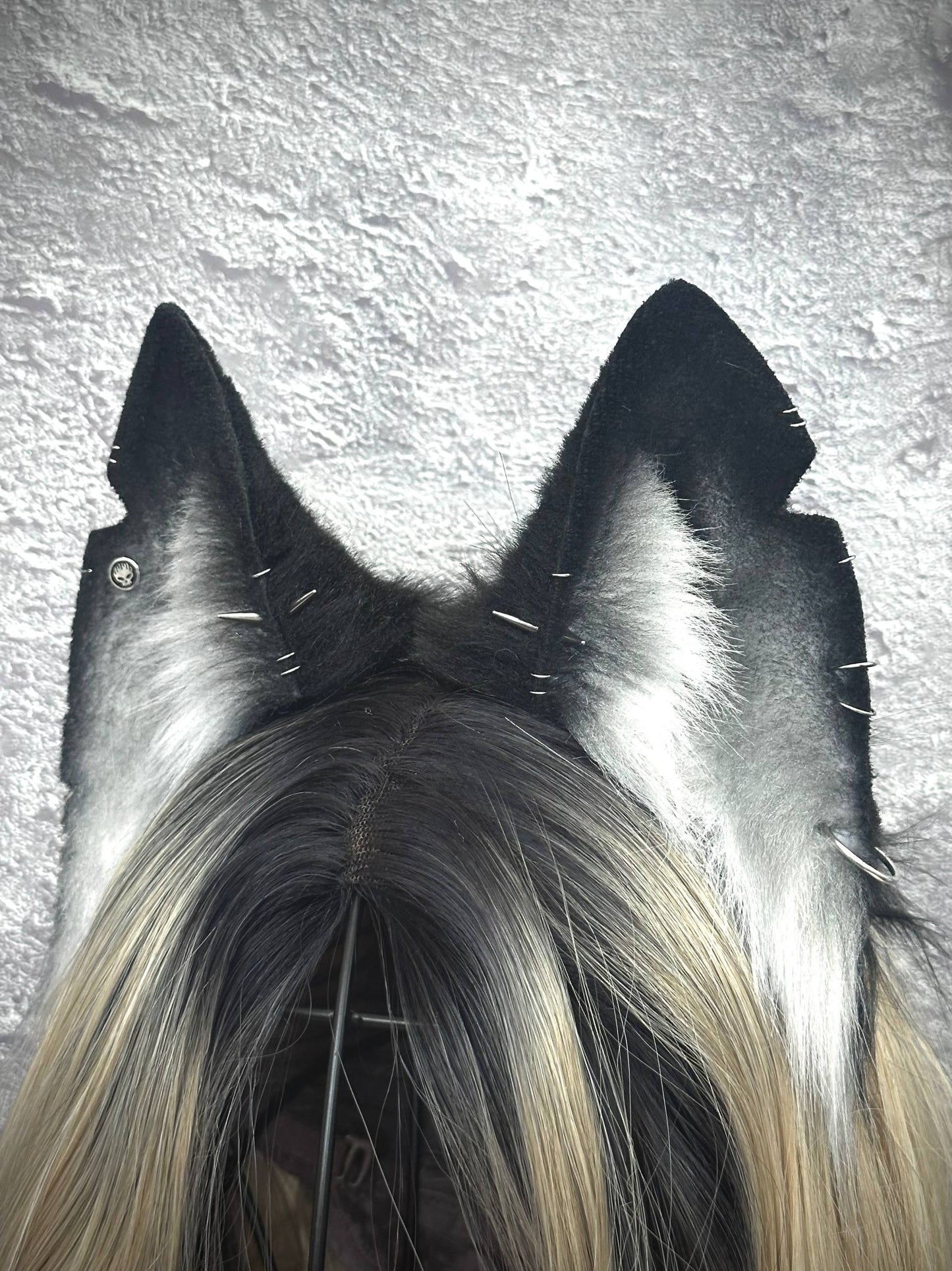 Gray Mongrel Fox Ears  RFS