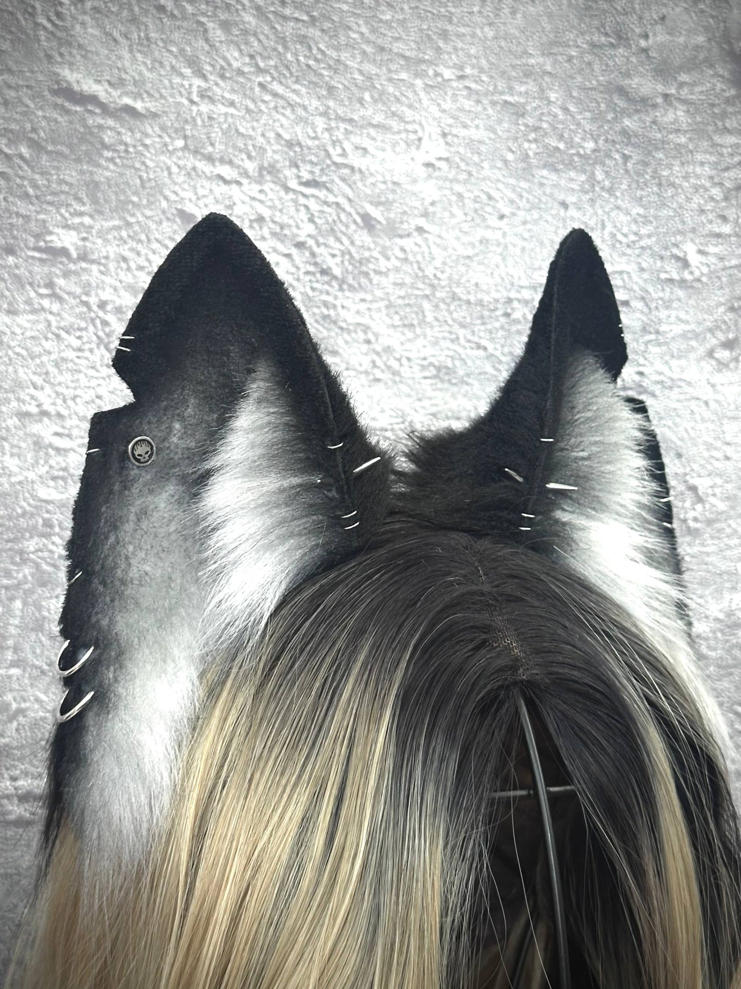 Gray Mongrel Fox Ears  RFS
