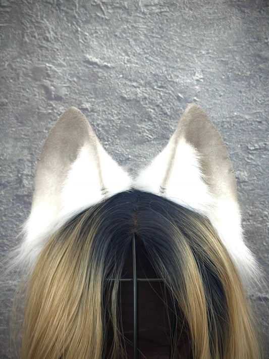 Polar Fox Ears RFS