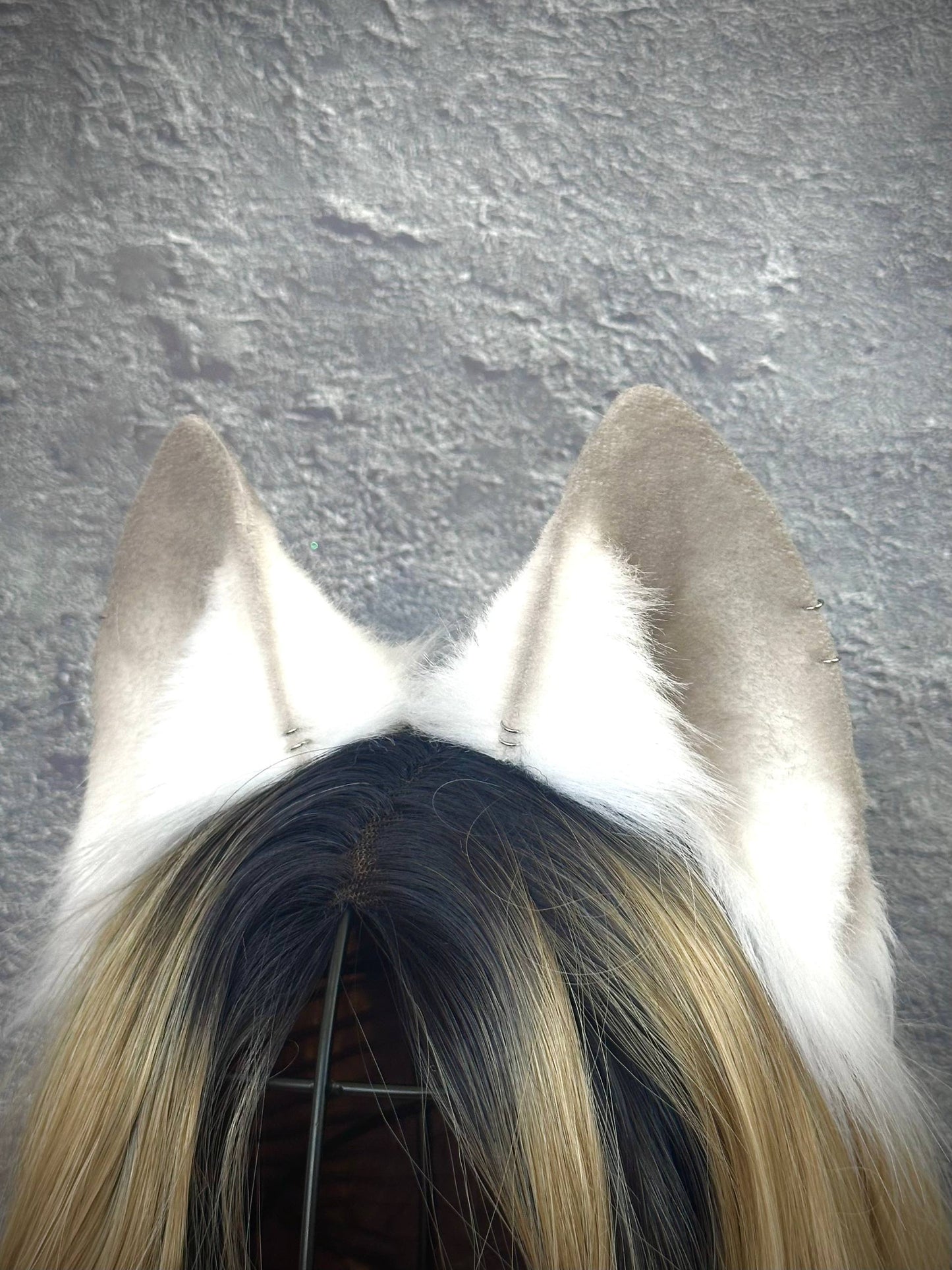 Polar Fox Ears RFS
