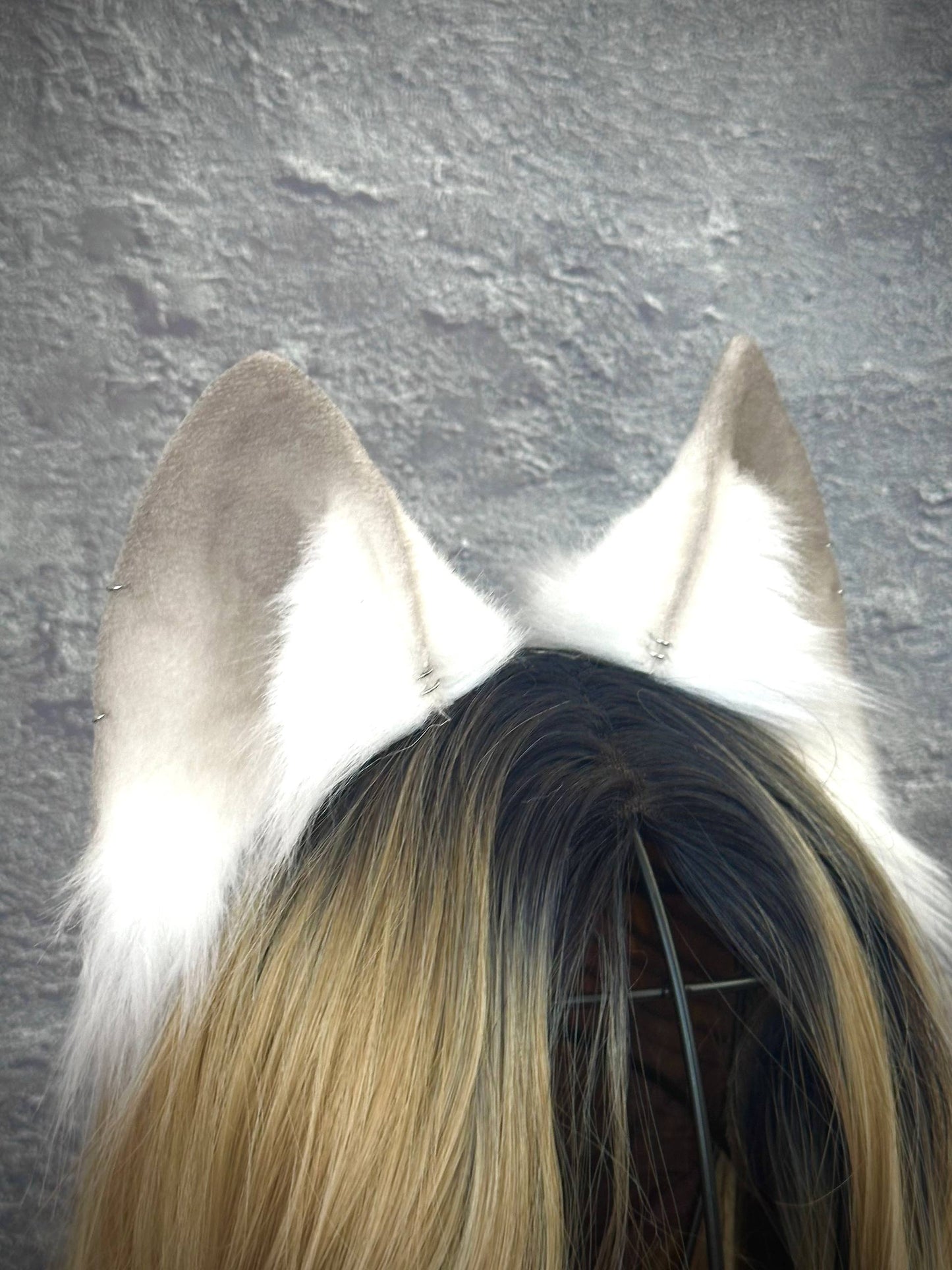 Polar Fox Ears RFS