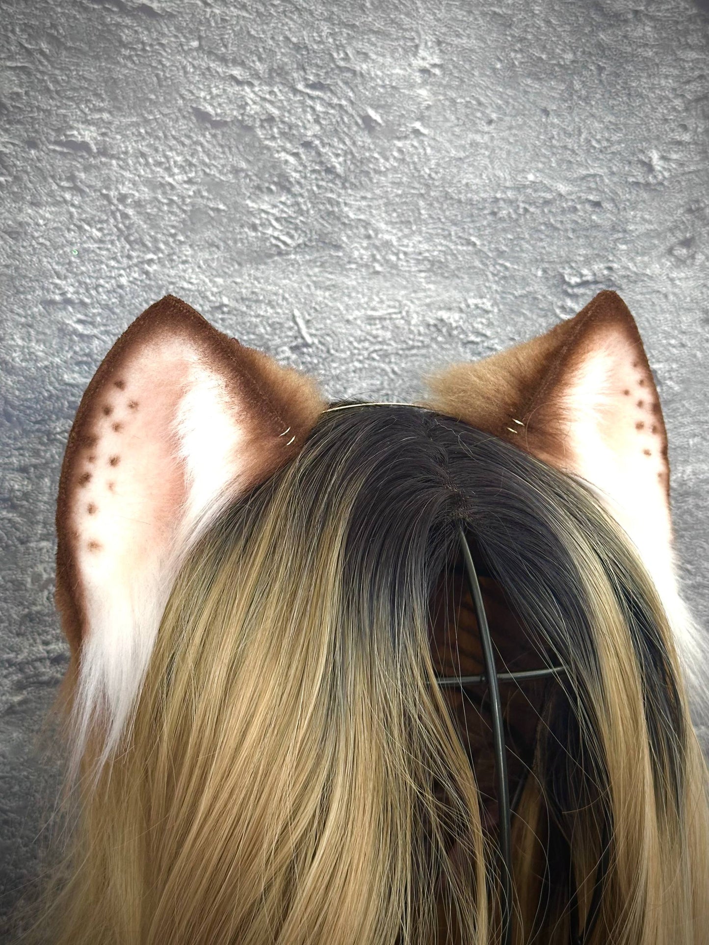 Brown Spotty Kitten Ears RFS