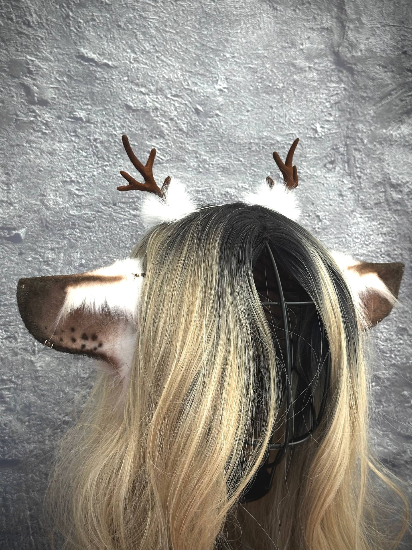 Brown Deer Ears RFS