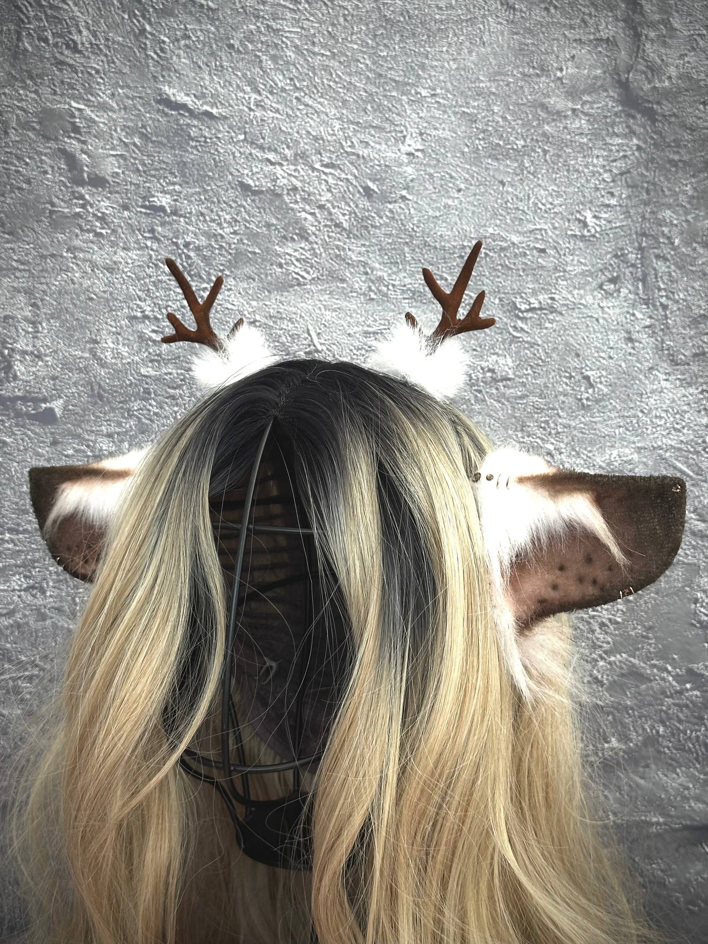 Brown Deer Ears RFS