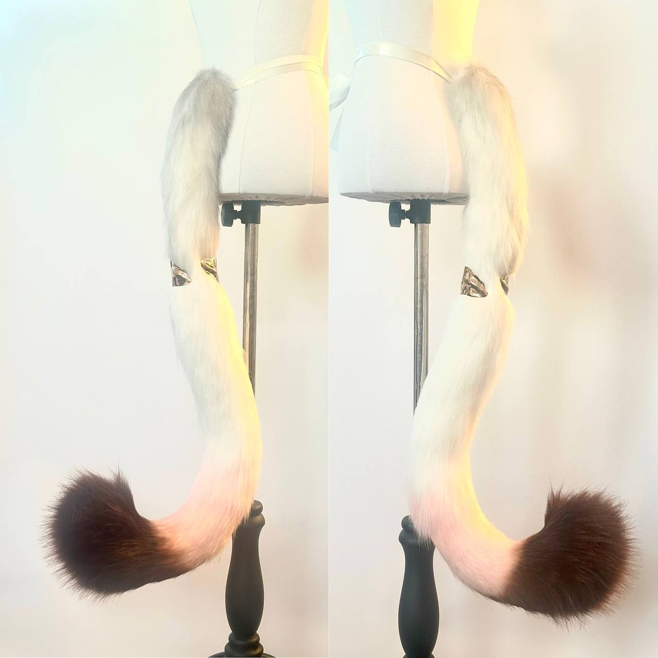 Cipher Tail (Honkai Star Rail)