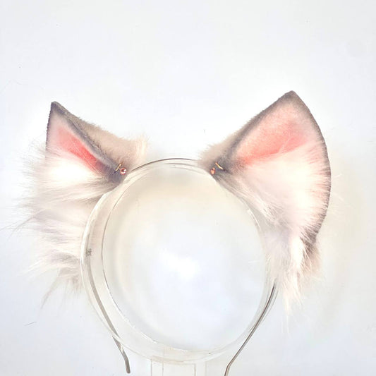 Cipher Ears (Honkai Star Rail)