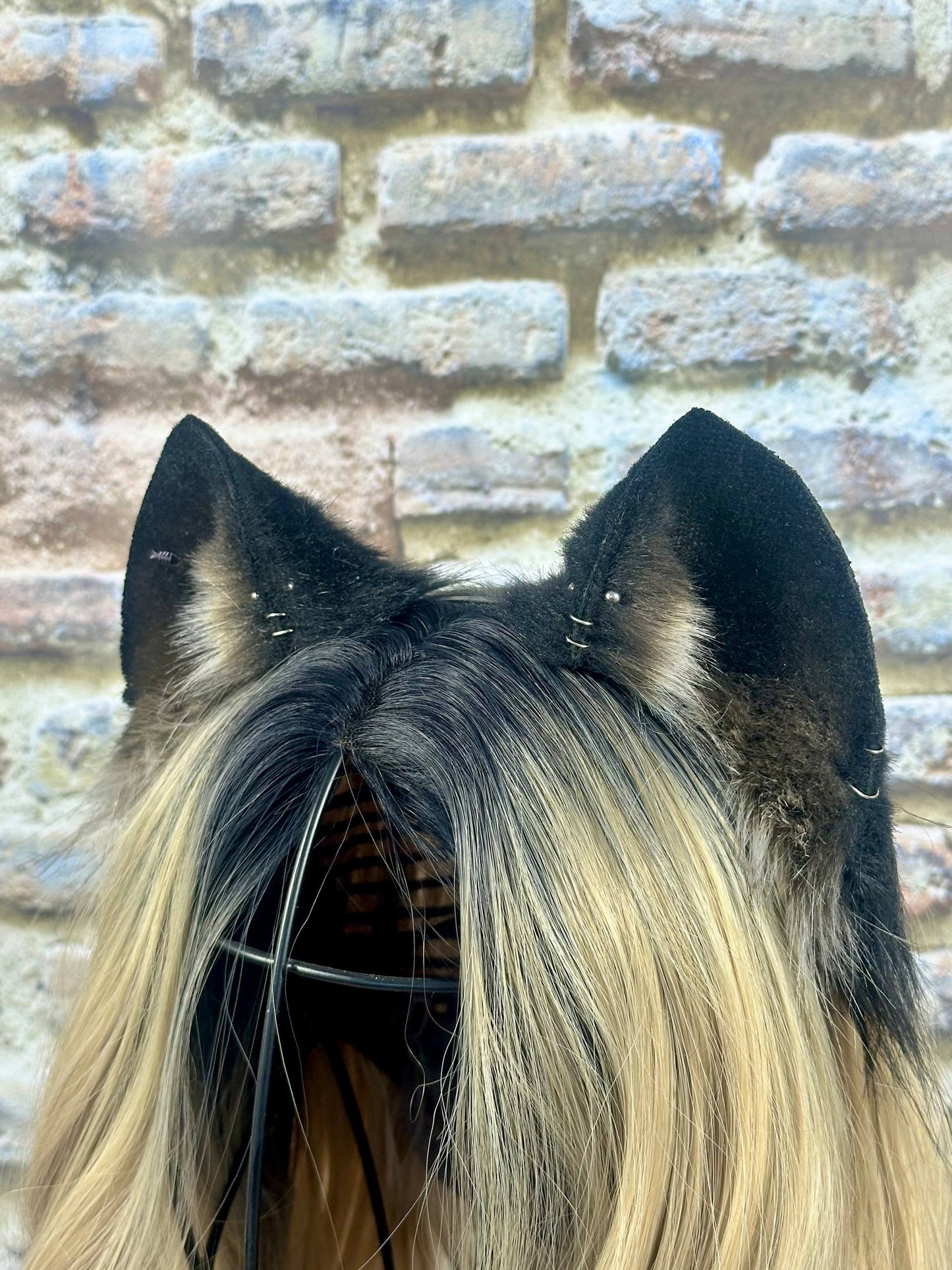 Neko Ears RFS