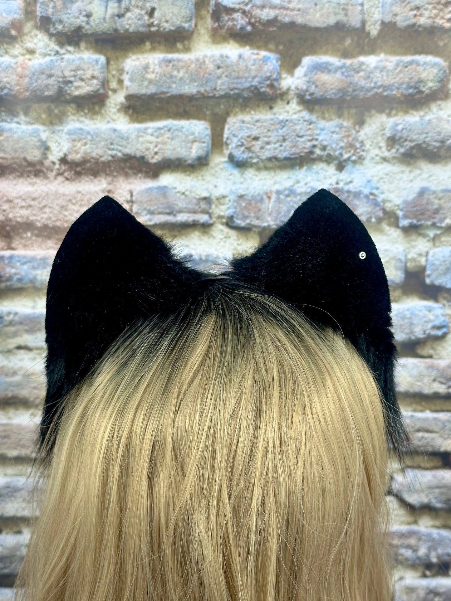 Neko Ears RFS