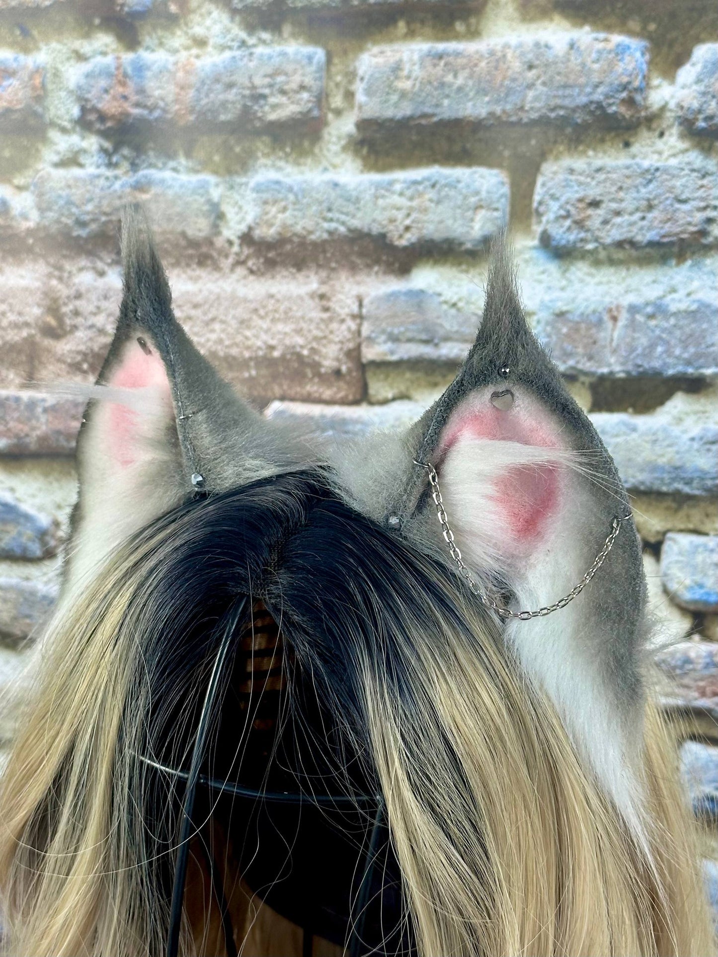 Grey Little Lynx Ears