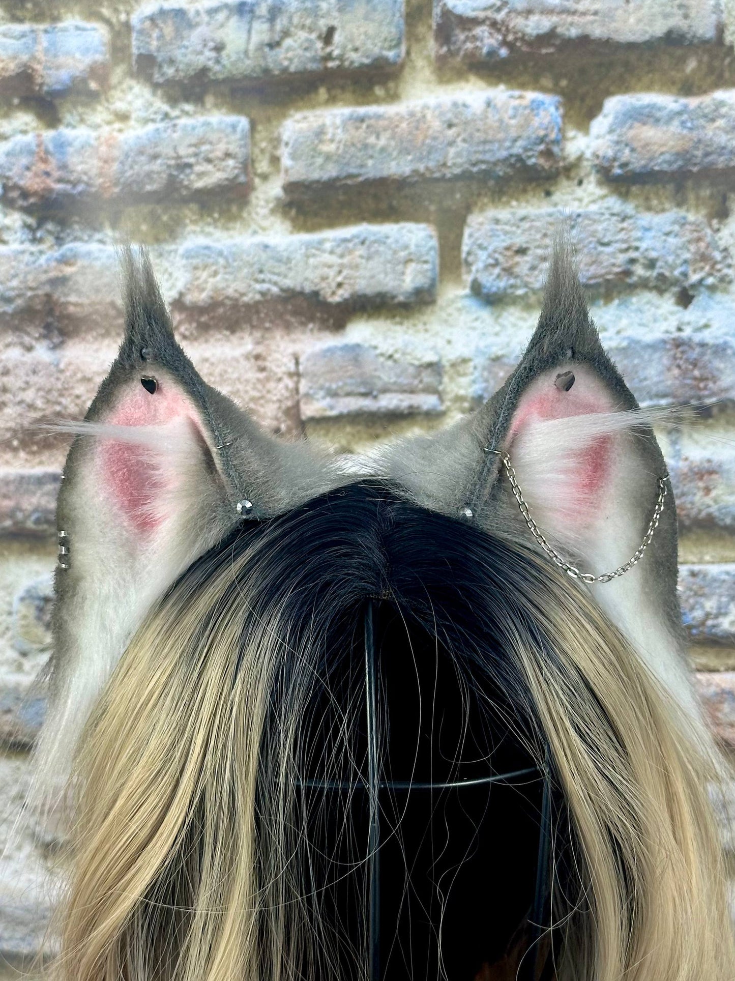 Grey Little Lynx Ears
