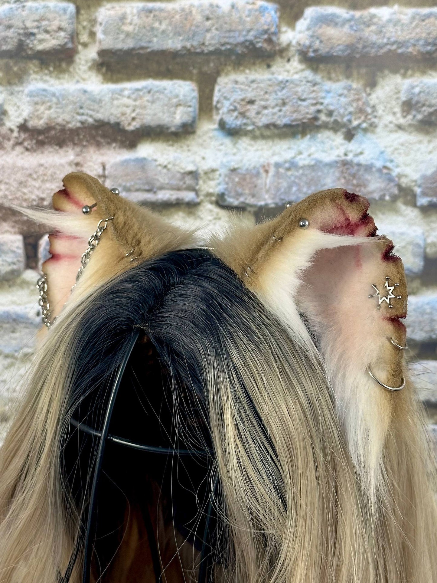 Fighter Rat Ears RFS