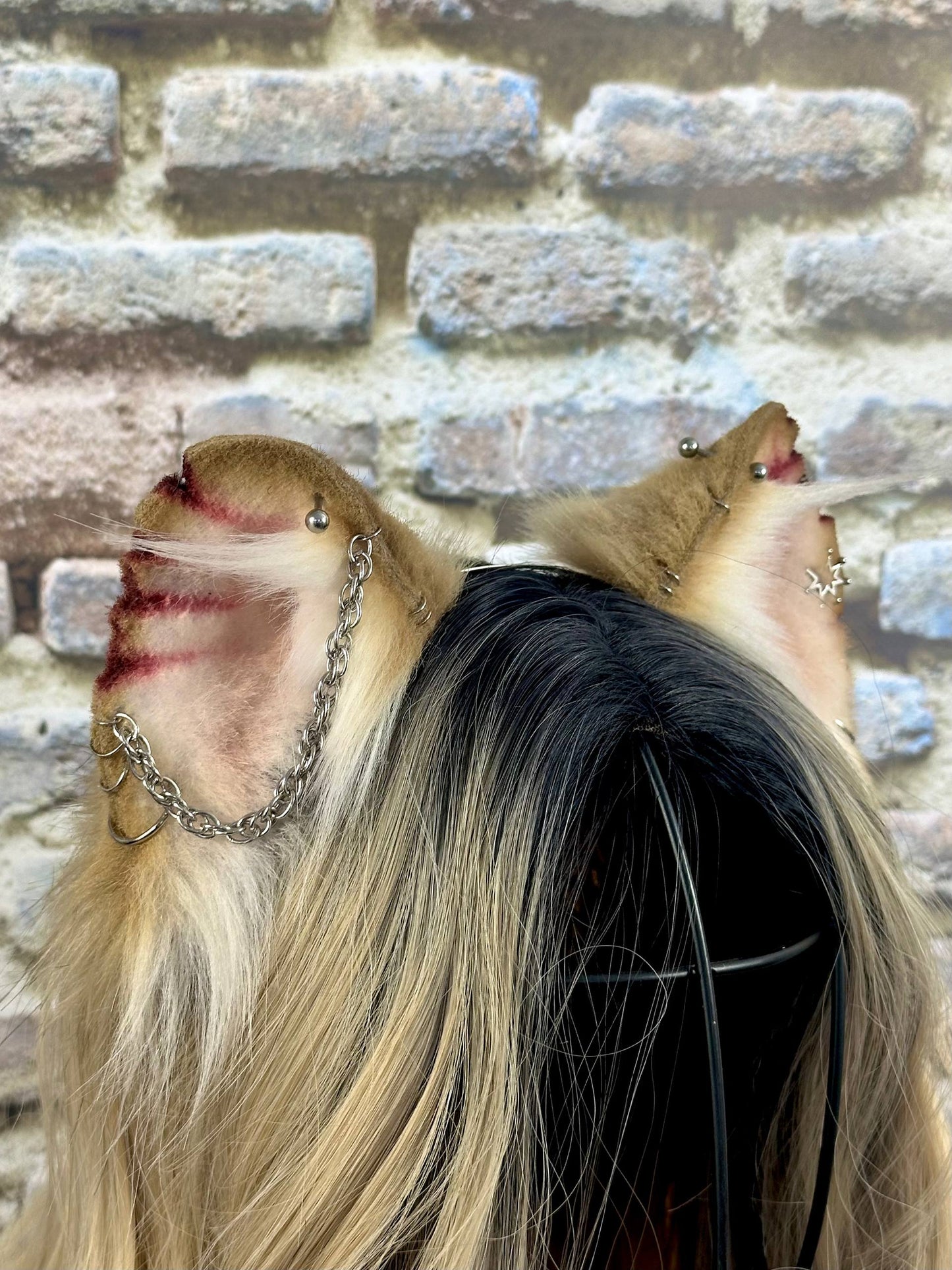 Fighter Rat Ears RFS