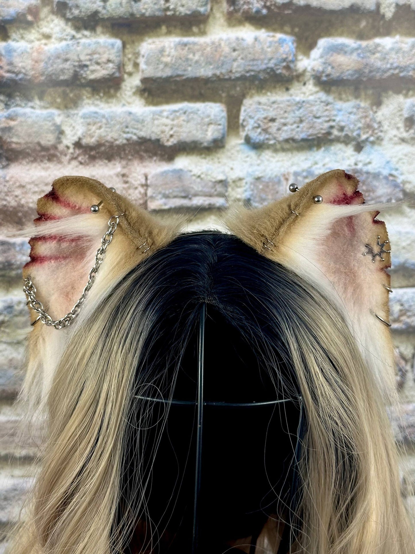 Fighter Rat Ears RFS