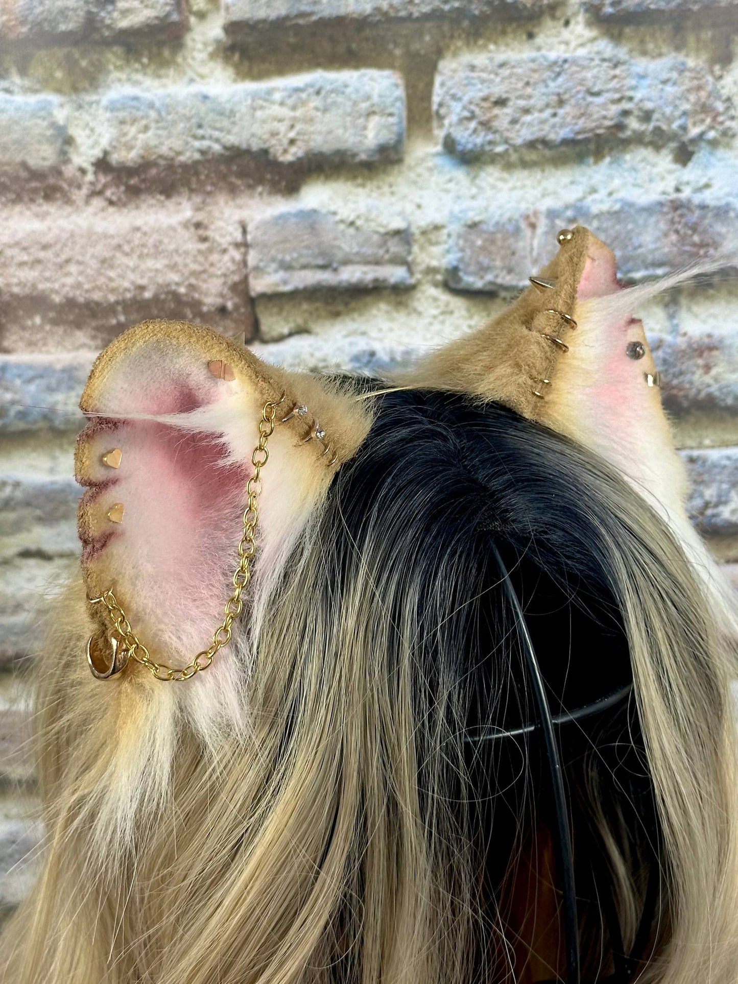Princess Rat Ears RFS