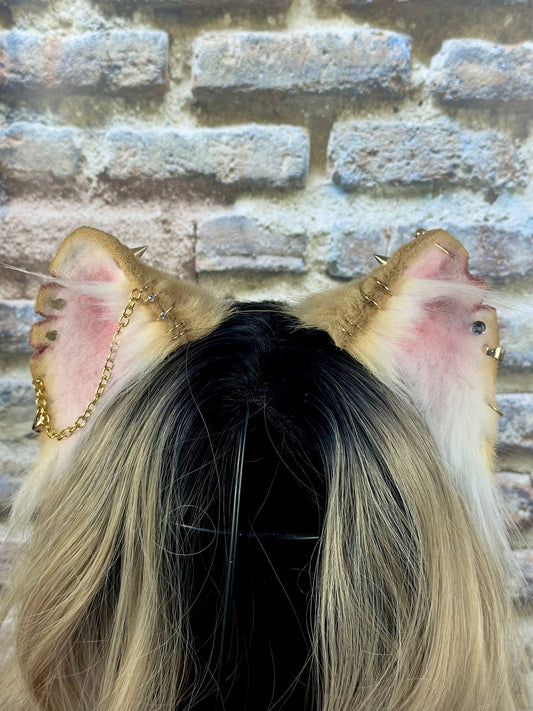 Princess Rat Ears RFS