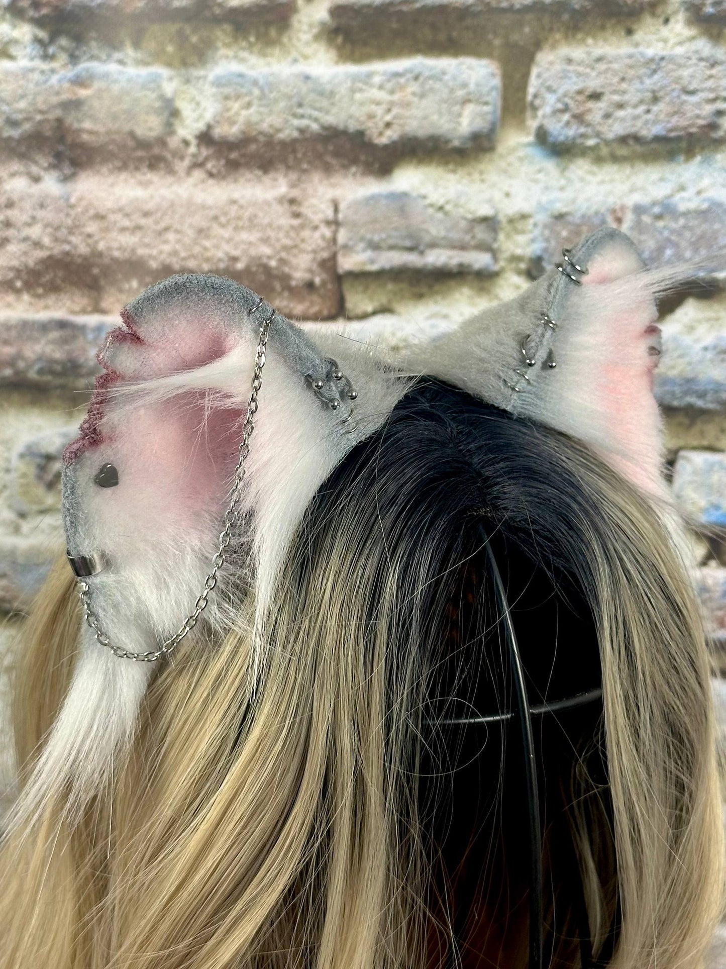 Mousie Ears RFS