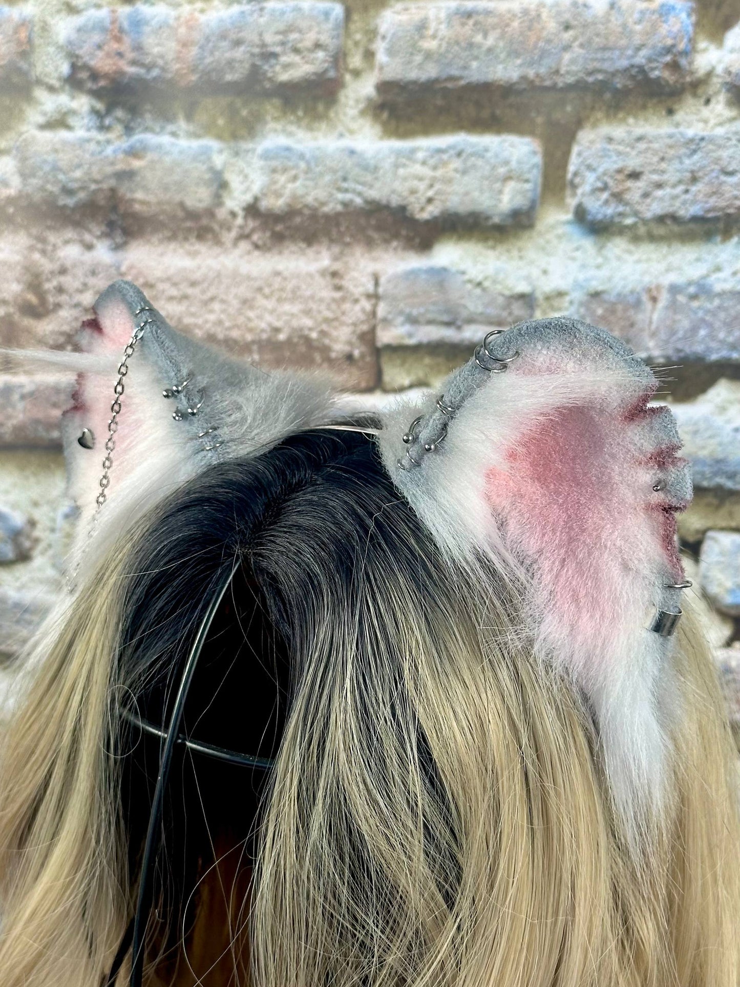 Mousie Ears RFS