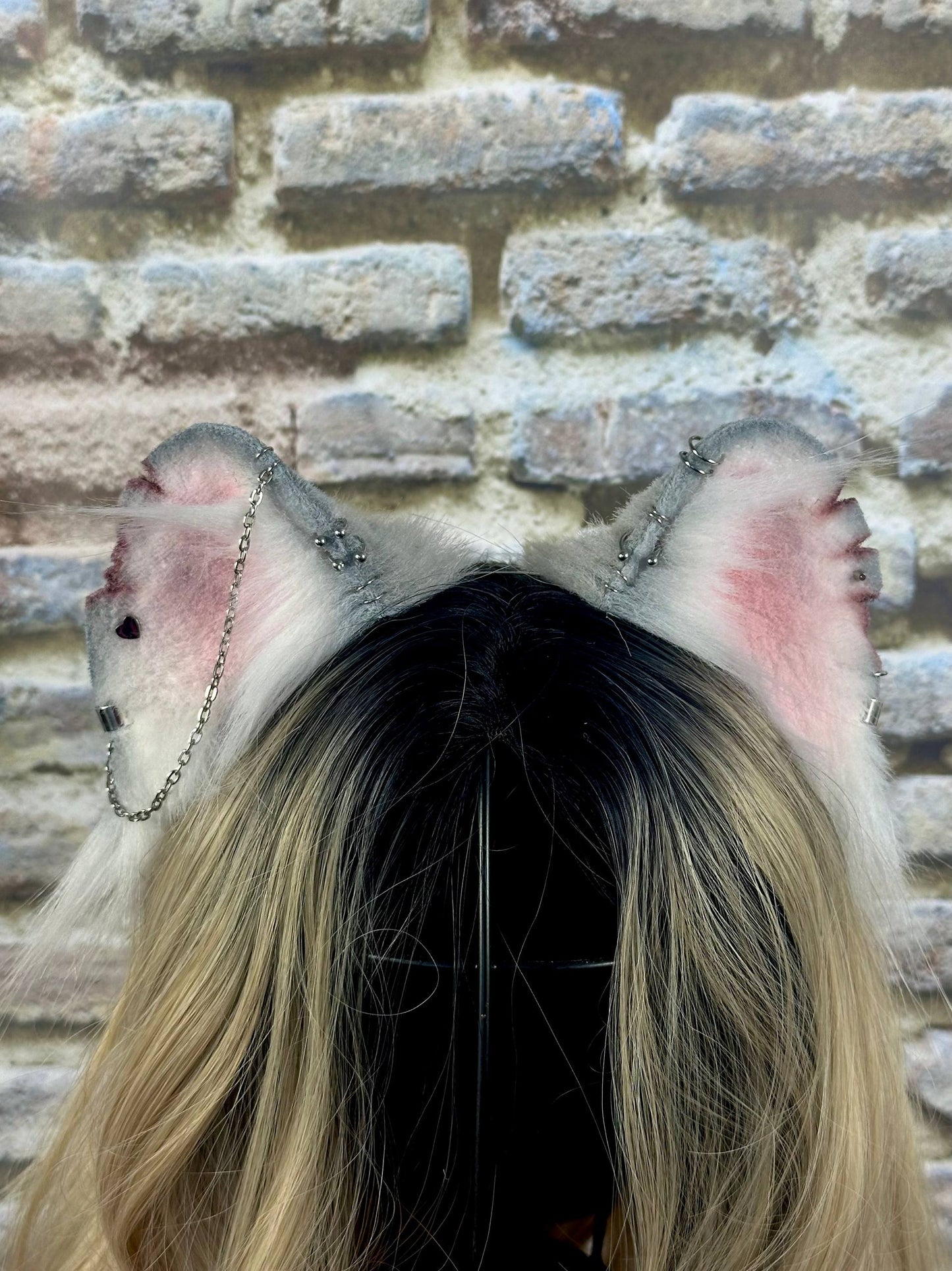 Mousie Ears RFS