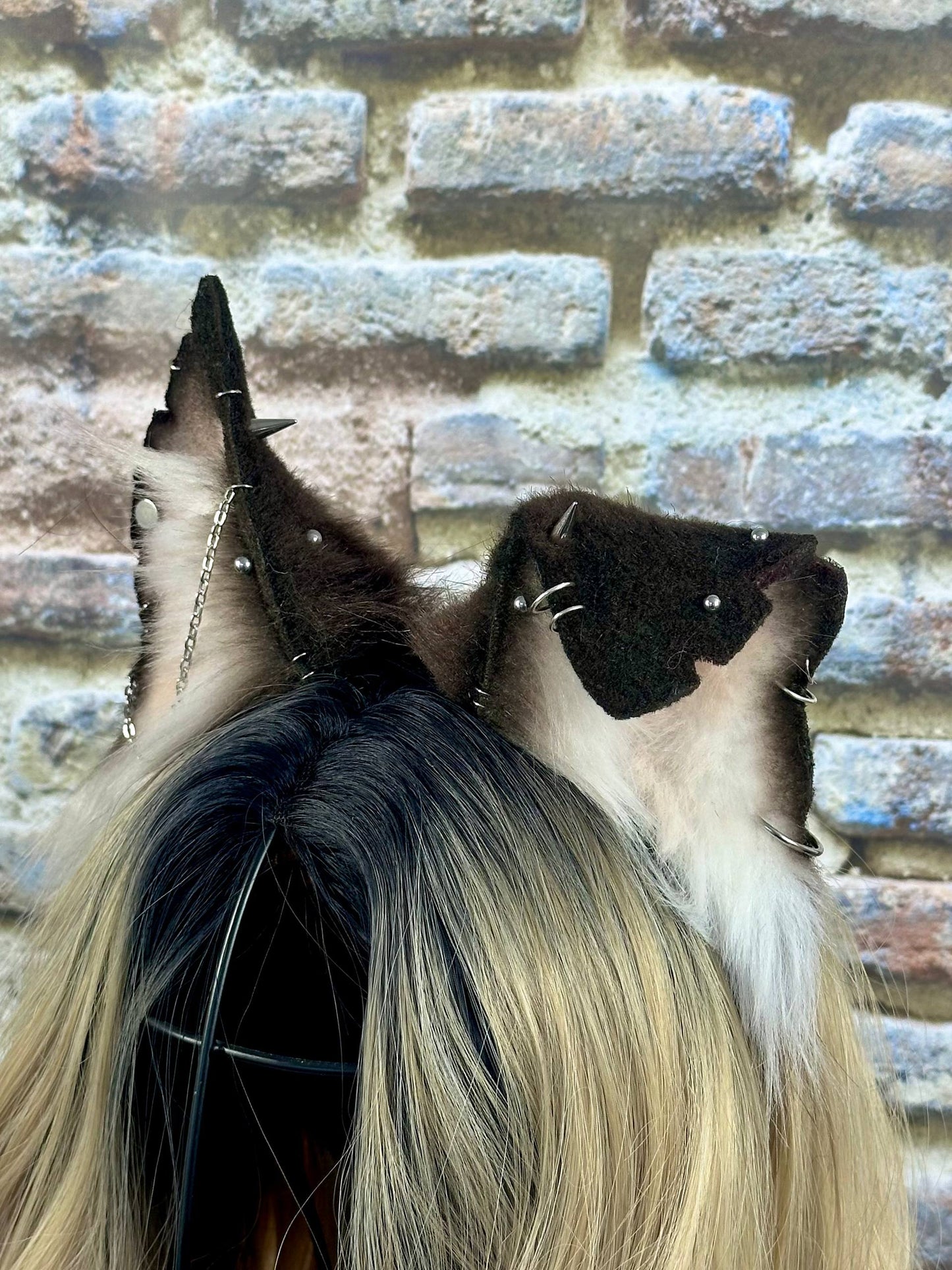 Mongrel Puppy Ears