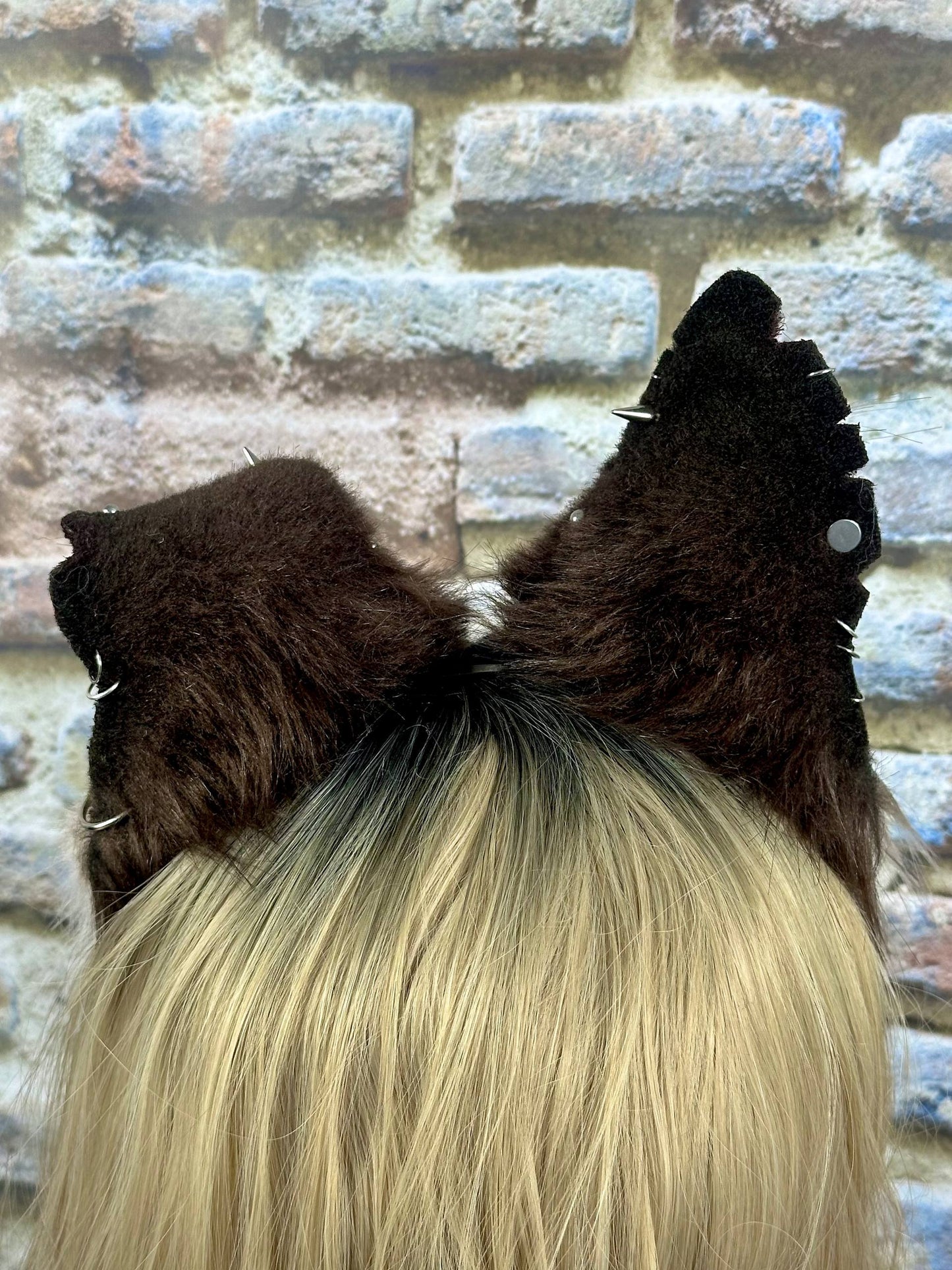 Mongrel Puppy Ears