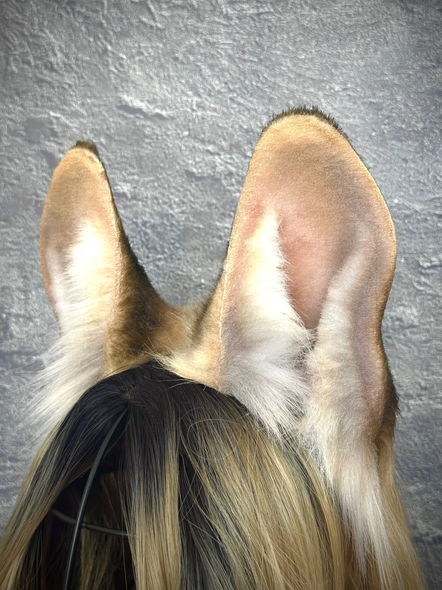 Serval Cat Ears
