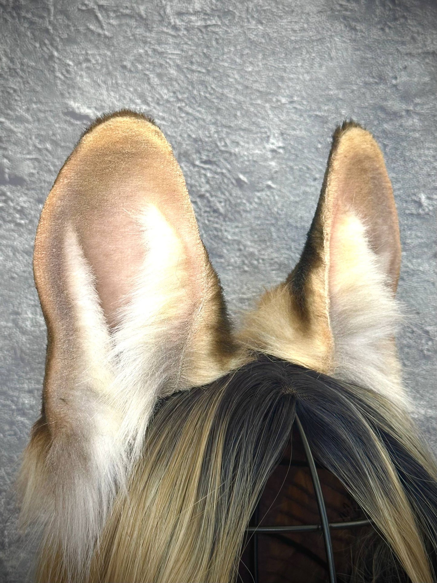 Serval Cat Ears