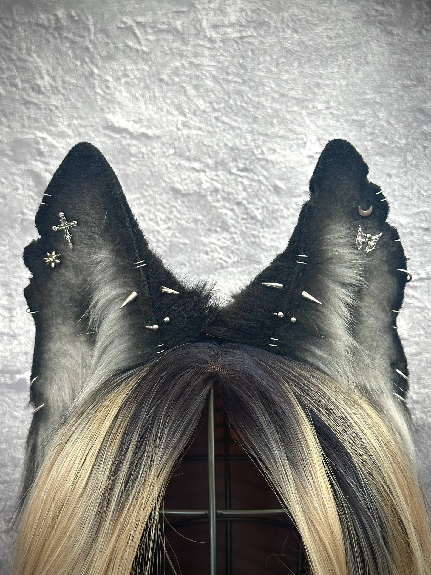Mongrel Puppy Ears RFS